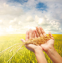 常州佳冠電子有限公司應(yīng)用領(lǐng)域